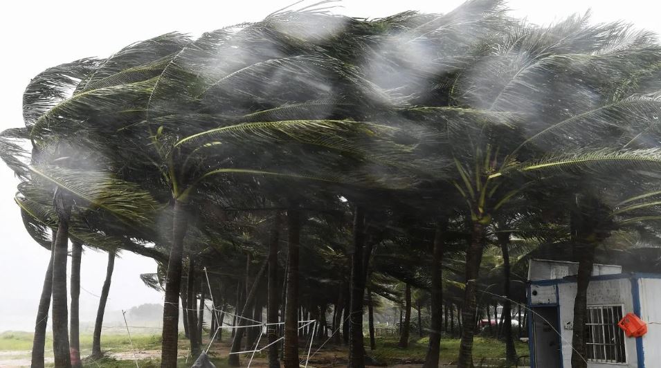 चीन में तूफान ‘यागी’ का कहर… स्कूल-कॉलेज बंद