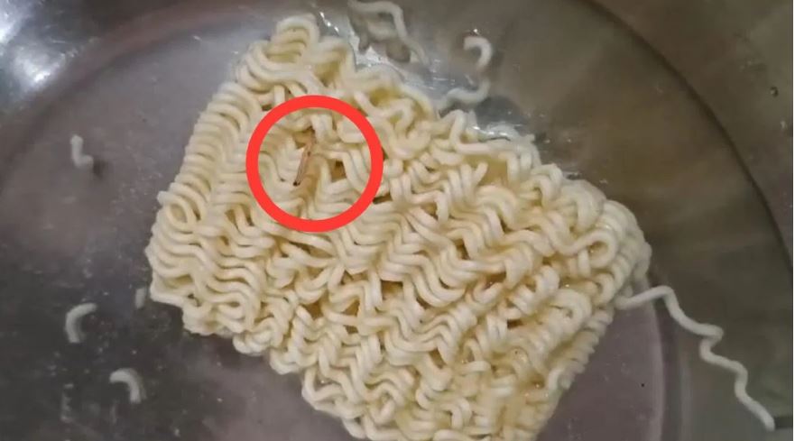 जबलपुर: पानी में डाली मैगी और दो मिनट में ही रेंगने लगा कीड़ा