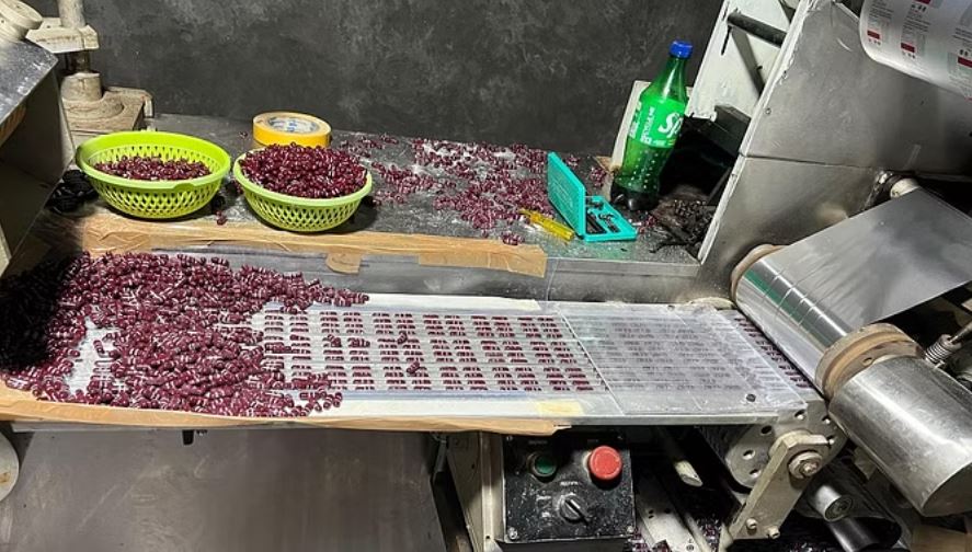 नारकोटिस्ट का यूपी-उत्तराखंड में छापा, 3 करोड़ की नकली दवा जब्त, 5 गिरफ्तार