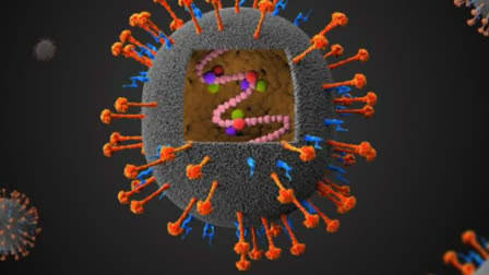केरल में निपाह वायरस से एक की मौत, आइसोलेशन में 151 लोग