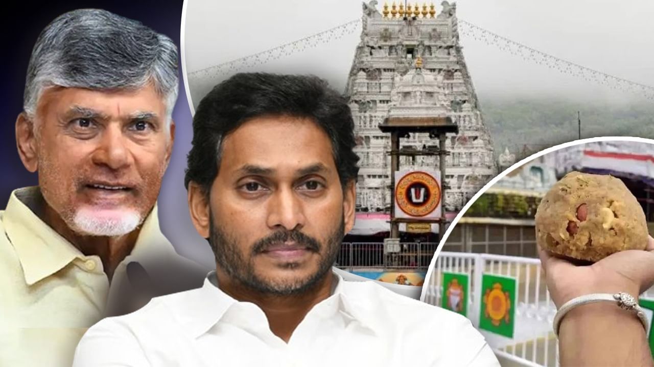 तिरुपति प्रसादम विवाद गहराया,  नायडू के आरोप के खिलाफ हाई कोर्ट पहुंची YSRCP