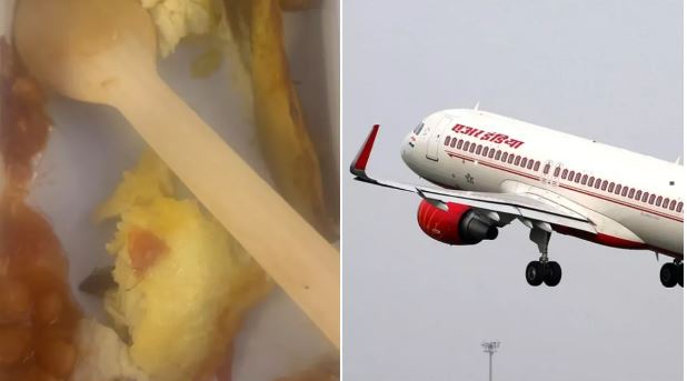 दिल्ली से न्यूयॉर्क जा रही फ्लाइट में खाने में मिला कॉकरोच, जांच के आदेश