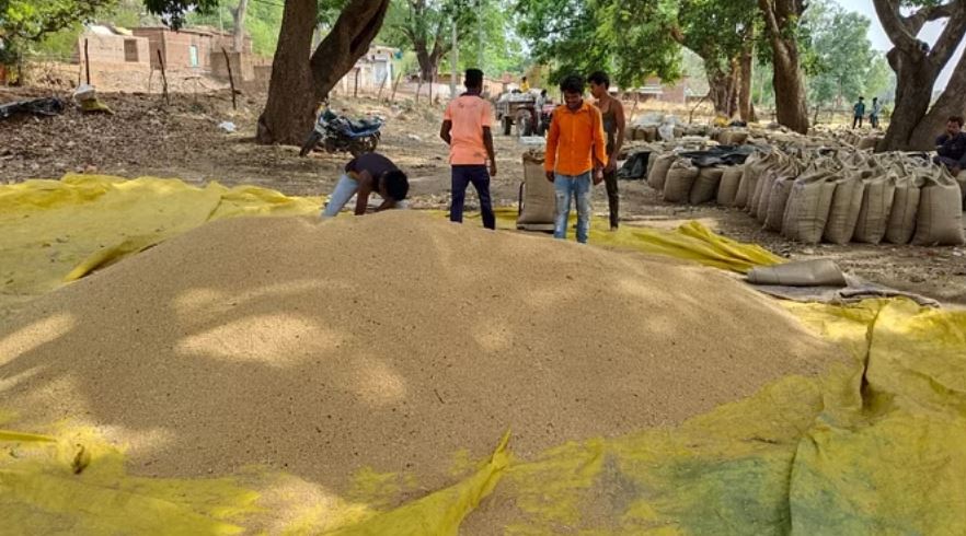 केंद्र सरकार का किसानों को तोहफा, छह फसलों का न्यूनतम समर्थन मूल्य बढ़ाया