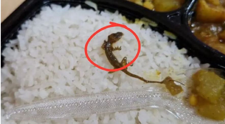 जहानाबाद: सरकारी कार्यक्रम के दौरान परोसे गए खाने में निकली छिपकली