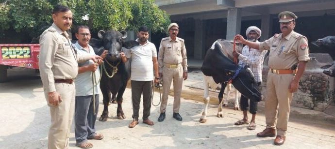 मुजफ्फरनगर: दूध की डेयरी के नाम पर ठगी करने वाला गिरफ्तार