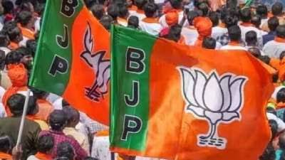 झारखंड बीजेपी की दूसरी लिस्ट जारी, टुंडी से विकास महतो उम्मीदवार