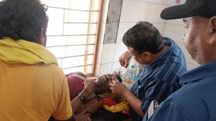 जैतपुर और गोहपारू में बाघ का आतंक, तीन लोगों पर किया हमला