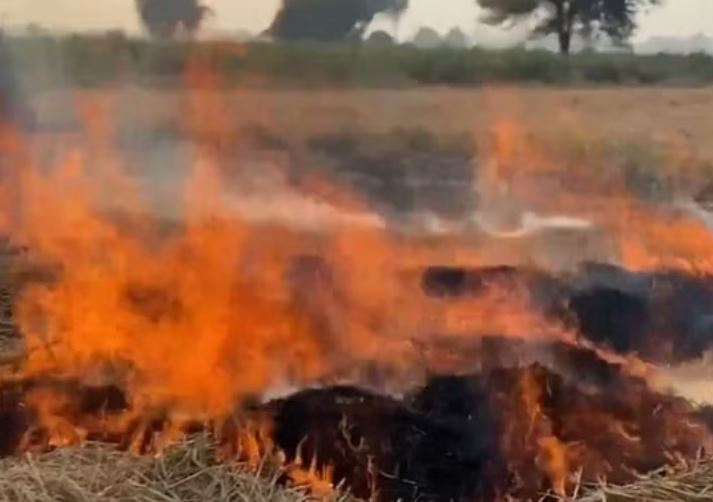 हरियाणा सरकार सख्त: पराली जलाने पर 336 किसानों की रेड एंट्री, 42 चालान