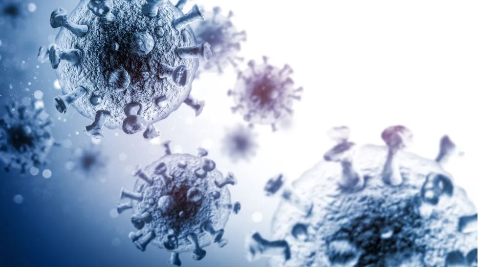 कोरोना के दौरान कई गुना बढ़ी डिस्लिपिडेमिया बीमारी, ये बन रही हार्ट अटैक का कारण