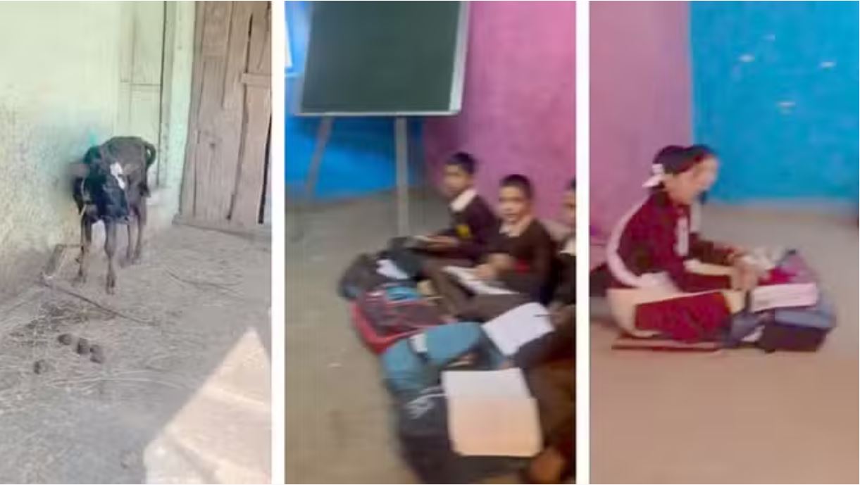 चंबा: भैंसों के तबेले में पढ़ाई... स्कूल भवन के लिए बीन बजा रहे ग्रामीण