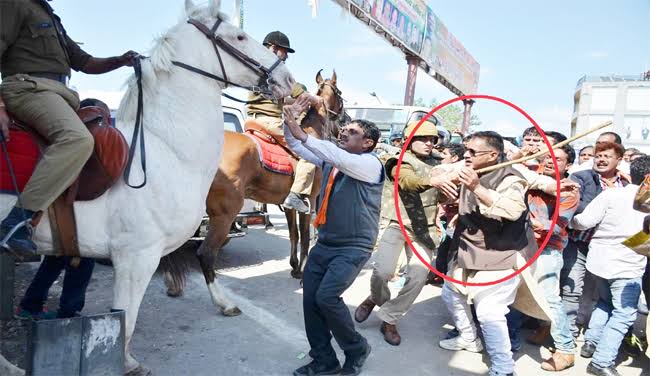शक्तिमान घोड़े की मौत के आरोपितों को सजा दिलाए जाने के मामले में फैसला सुरक्षित
