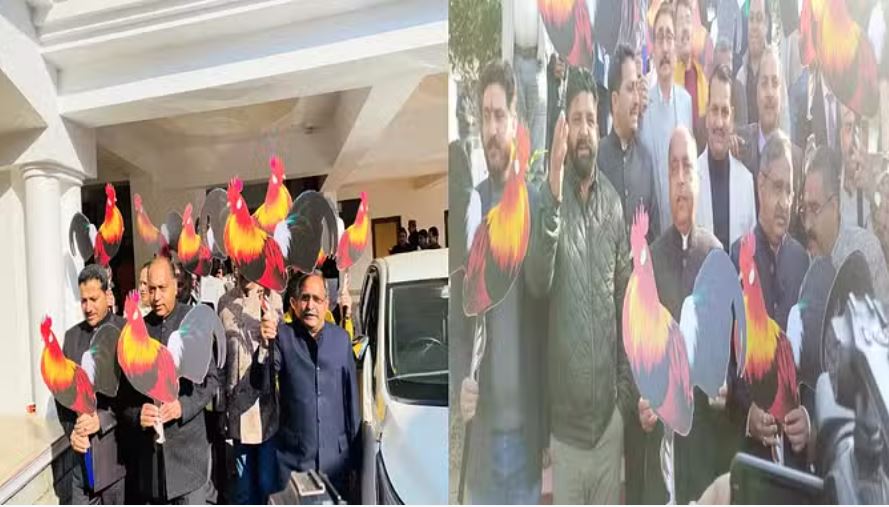 हिमाचल: हाथों में मुर्गे की तस्वीर वाले पोस्टर लेकर विधानसभा पहुंचा विपक्ष