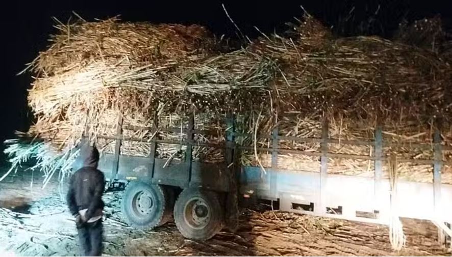 मुजफ्फरनगर: अवैध गन्ना खरीद पर ऊन मिल के प्रबंधकों समेत पांच पर मुकदमा