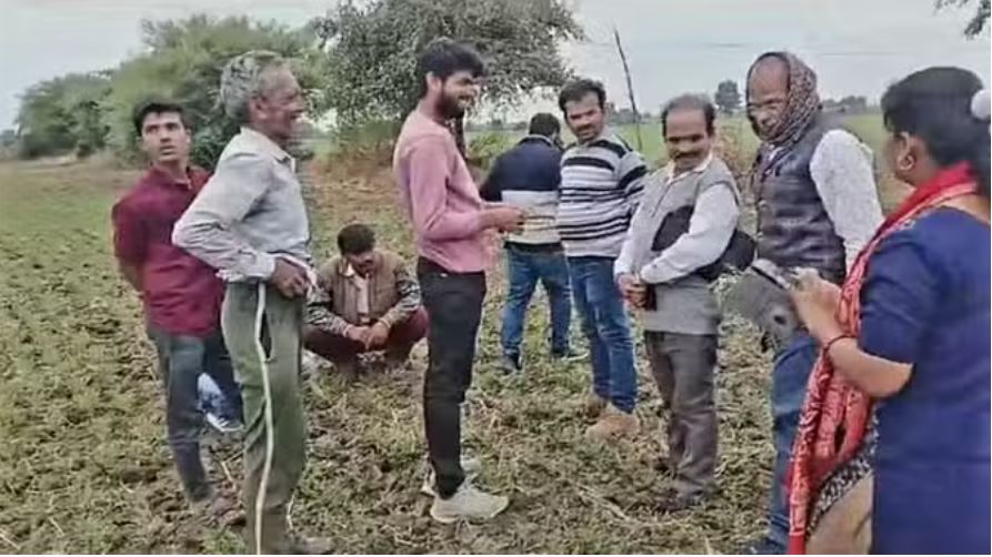 सागर में चने की फसल बढ़ाने के लिए किसान ने डाली रासायनिक दवा, पूरी फसल हुई खराब