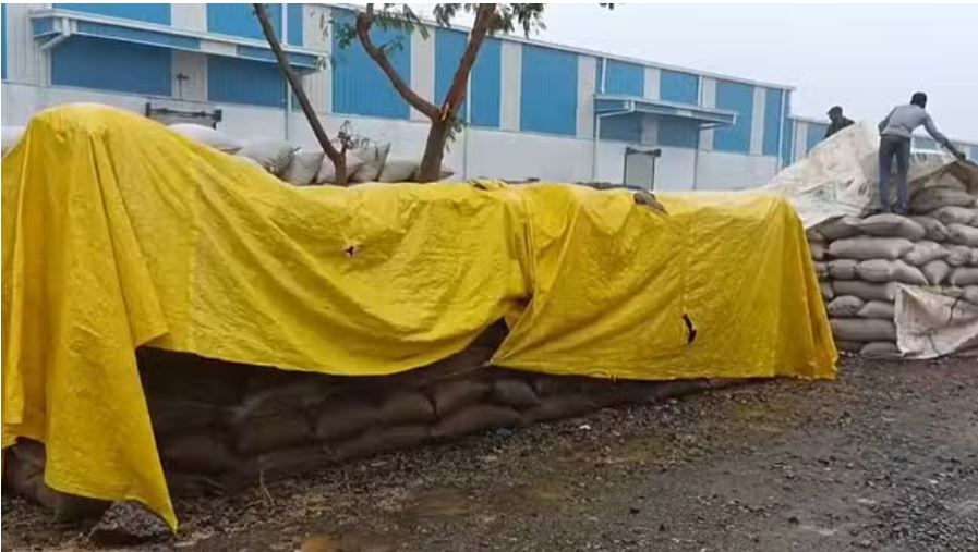 मैहर और सतना में बारिश ने बढ़ाई लोगों की मुश्किलें, लाखों टन धान बारिश में भीगा
