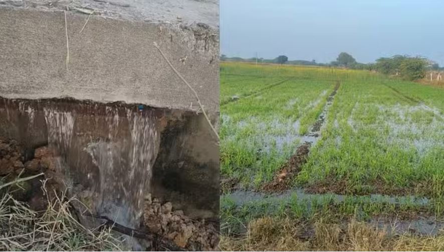 बीसलपुर पाइप लाइन में लीकेज से व्यर्थ बहा हजारों गैलन पानी, गेहूं और सरसों की फसलें पानी में डूबी