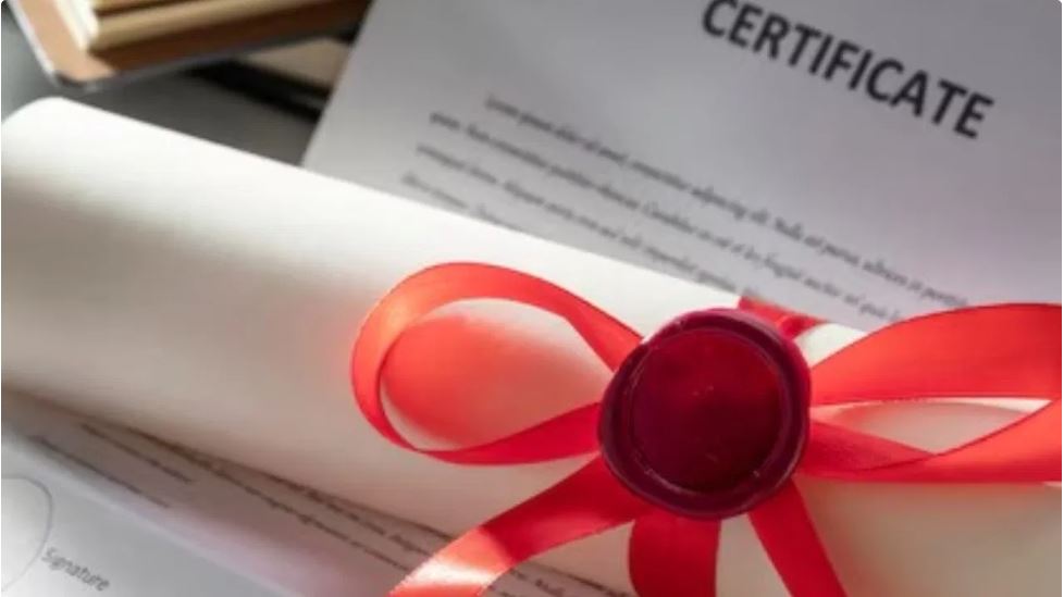 वाट्सऐप पर मिलेंगे जन्म-मृत्यु प्रमाणपत्र, आंध्र प्रदेश सरकार का ऐलान