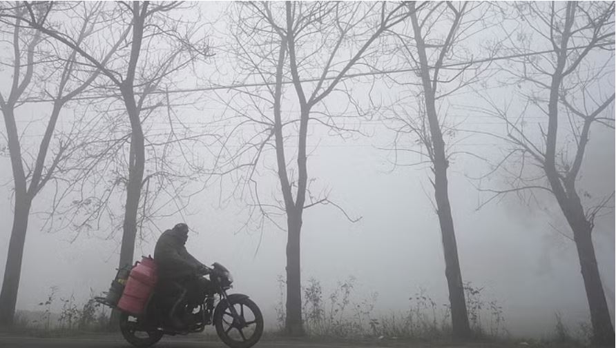 दिल्ली-एनसीआर में छाया घना कोहरा, कई इलाकों में दृश्यता शून्य तक