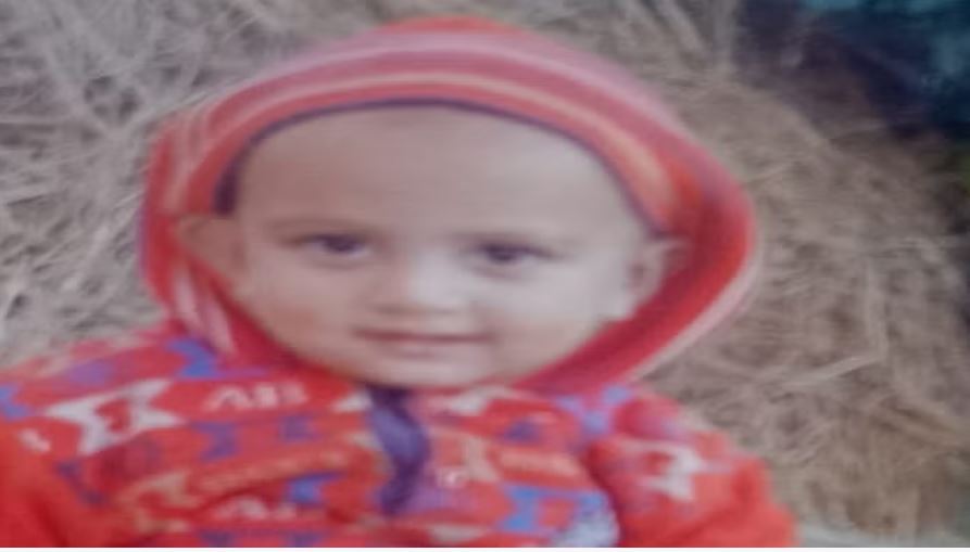 खटीमा: स्कूल बस के टायर के नीचे आने से बच्चे की मौत, मां के साथ पीछे गया था बेटा