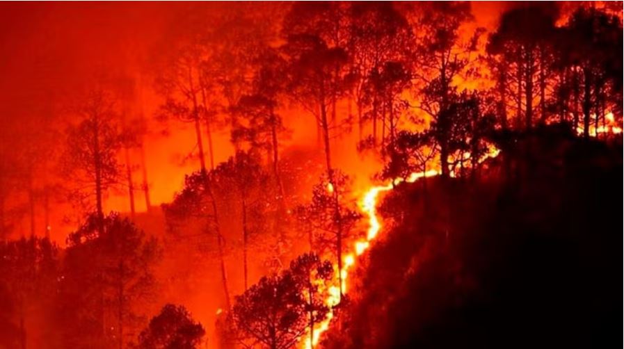  पाकिस्तान से आई आग ने पुंछ के जंगलों को अपनी चपेट में लिया, दर्जनों बारूदी सुरंगें फटीं