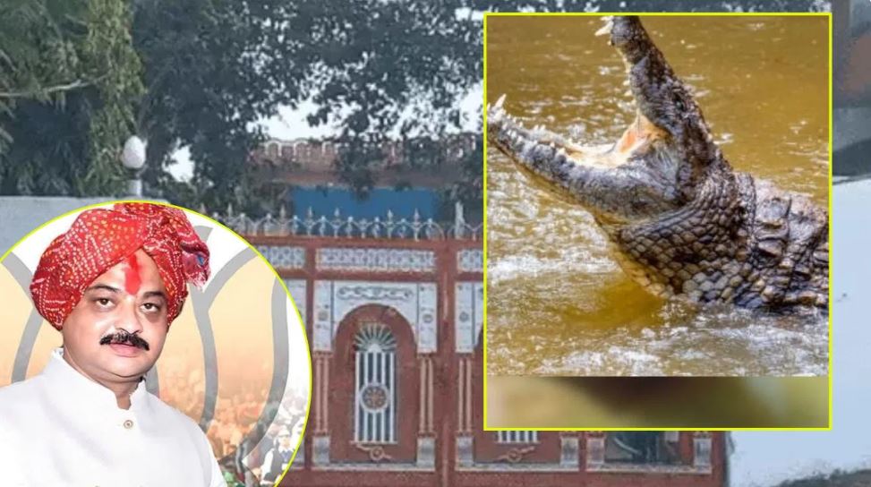 बीजेपी के पूर्व विधायक ने घर में पाल रखे थे मगरमच्छ, चौंक गई आयकर टीम