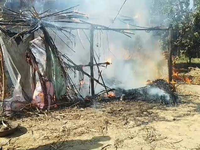 छप्पर में लगी भीषण आग, दो पशु झुलसे