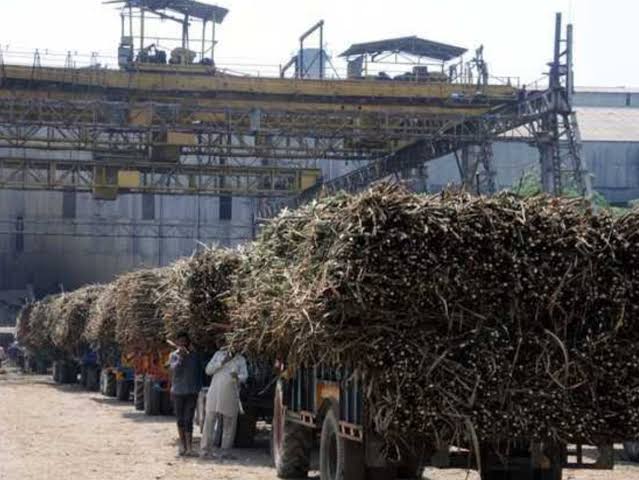 त्रिवेणी मिल ने किया 34.14 करोड़ का भुगतान किया