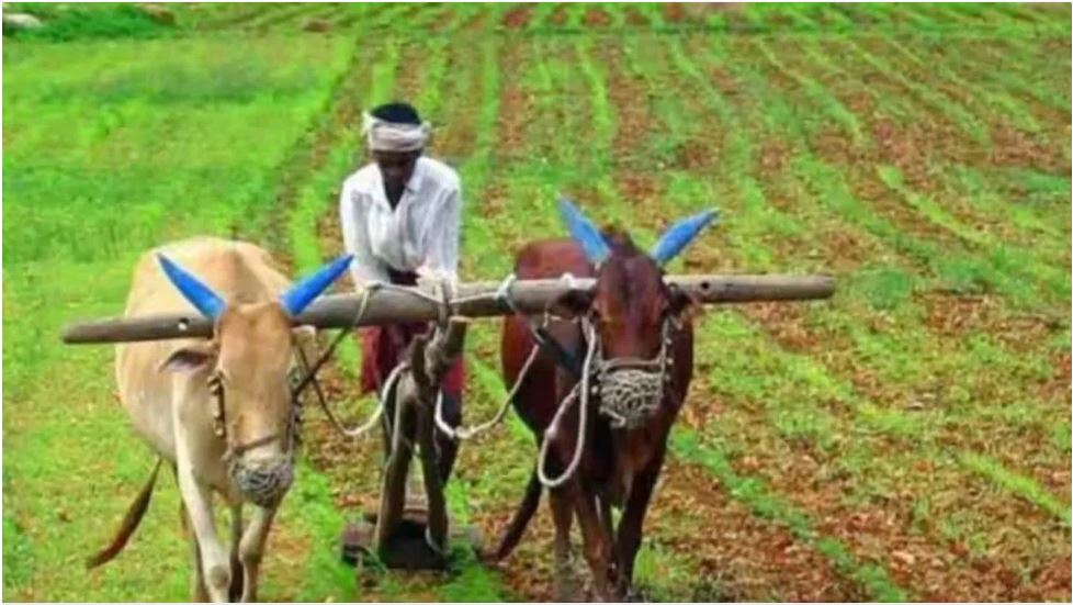 बजट: किसान क्रेडिट कार्ड से मिलेगा ज्यादा लोन, जानें इसके बारे में सबकुछ