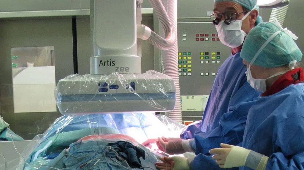 नहीं मिला डोनर तो शख्स को लगा दी सूअर की किडनी, फिर हुआ चमत्कार