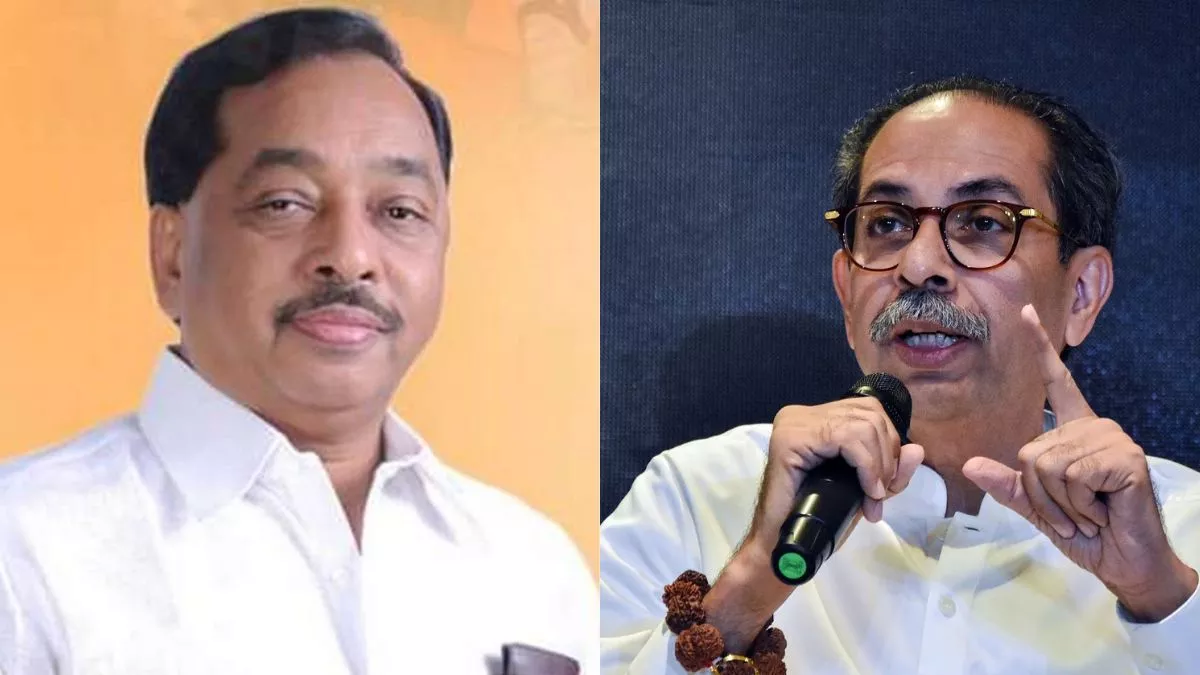 'उद्धव ठाकरे ने...', दिशा सालियान मामले में नारायण राणे का बड़ा दावा