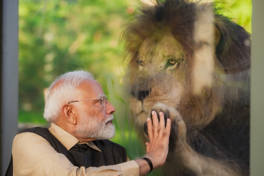 पीएम मोदी ने गुजरात के वंतारा वाइल्डलाइफ सेंटर का किया उद्घाटन