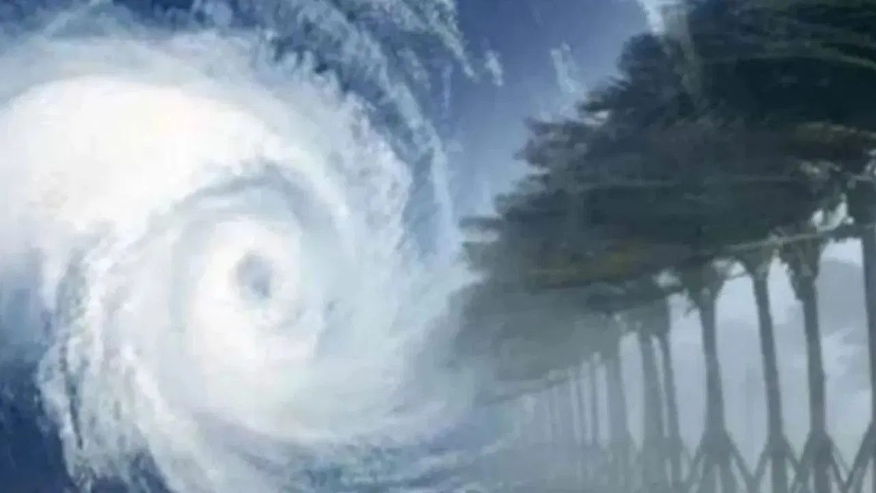 आस्ट्रेलिया में साइक्लोन ‘अल्फ्रेड’ ने मचाई तबाही, तेज हवाओं से उखड़े पेड़