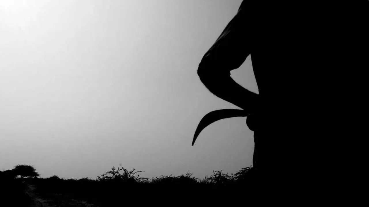 गोभी के खेत में बकरी घुसने से मचा बवाल, मालदा में टीएमसी नेता की पीट-पीटकर हत्या