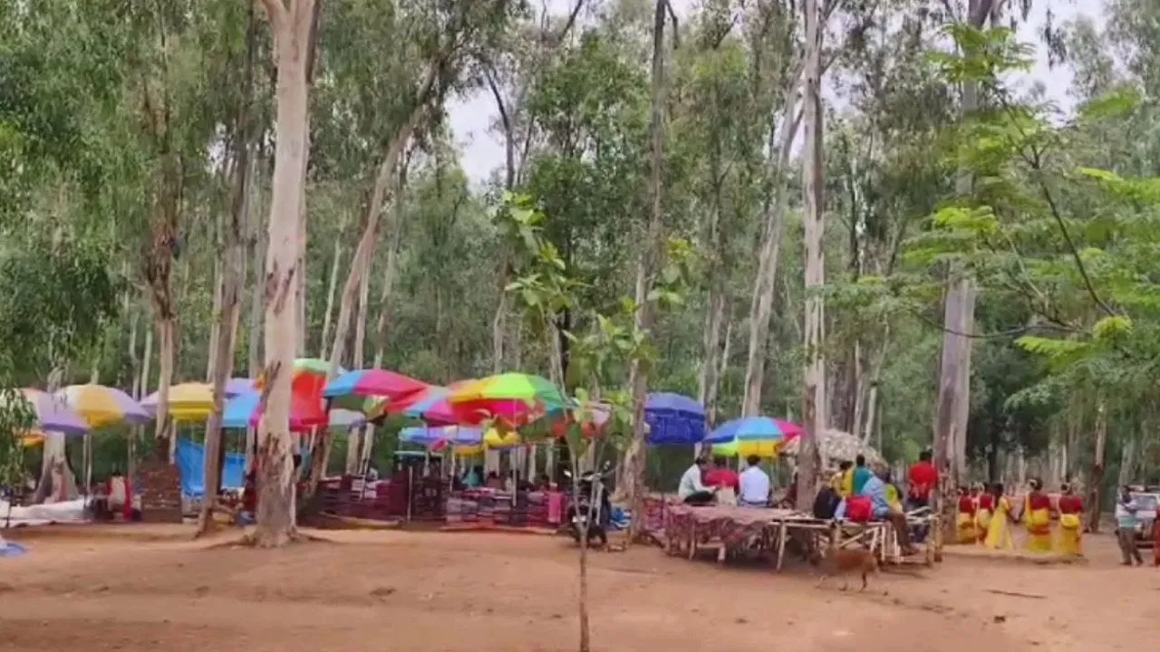 ममता सरकार का बड़ा फैसला, शांतिनिकेतन के सोनाझुरी हाट में होली मनाने पर लगाई रोक