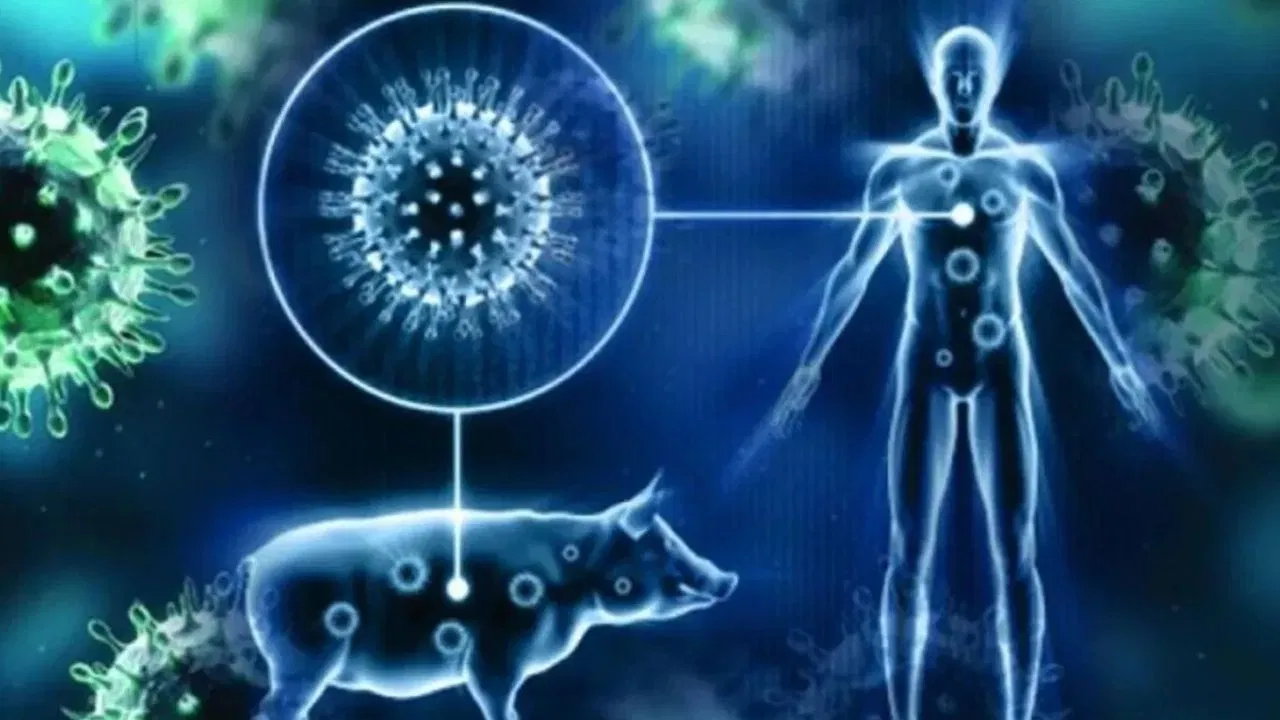 फिर पांव पसार रहा एच1एन1 वायरस, 516 लोग संक्रमित, 6 मरीजों की मौत