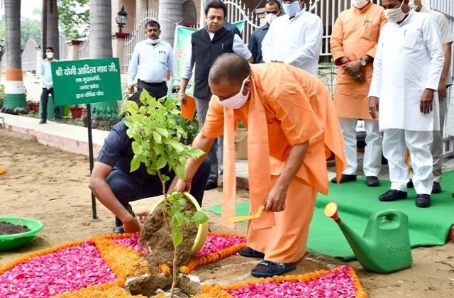 यूपी में 1 से 7 जुलाई तक लगाए जाएंगे 35 करोड़ पौधे