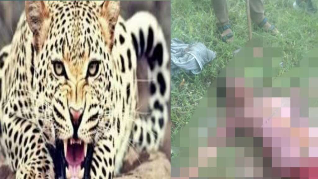 पौड़ी गढ़वाल में गुलदार के हमले से महिला की मौत, पूरे इलाके में दहशत