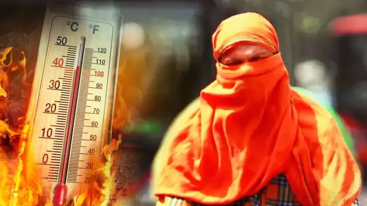 उत्तर भारत में फिर लौटी भीषण गर्मी, दिल्ली में मानसून के लिए करना होगा इंतजार
