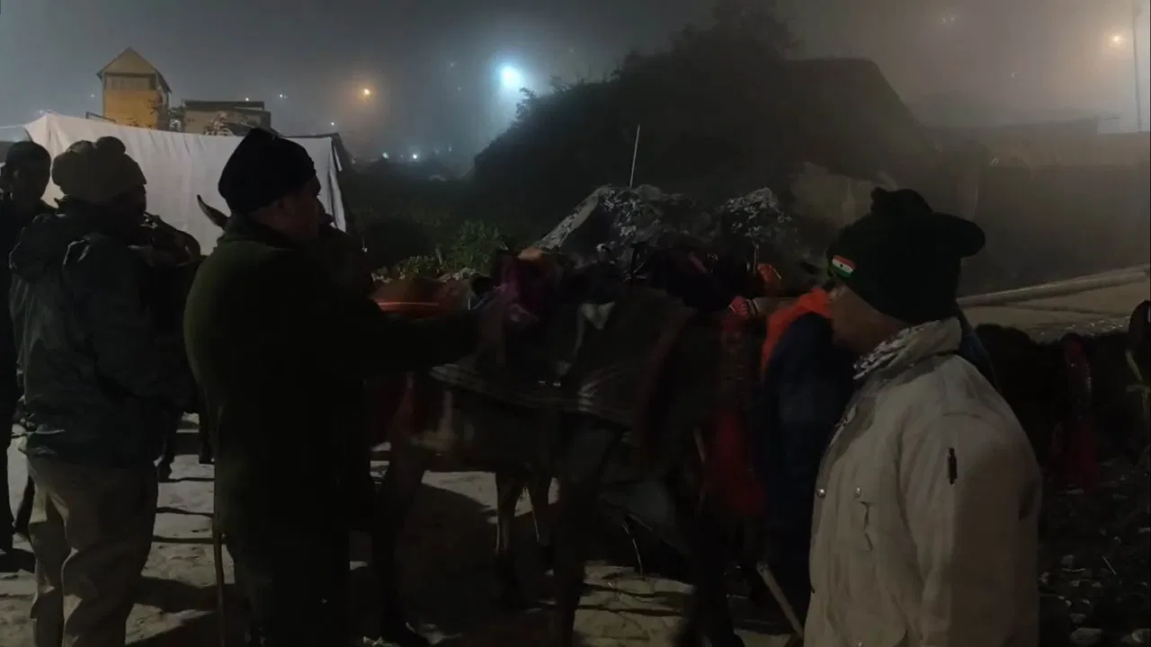 केदारनाथ यात्रा में हादसा: बेकाबू घोड़े से गिरा श्रद्धालु, एनडीआरएफ ने किया रेस्क्यू