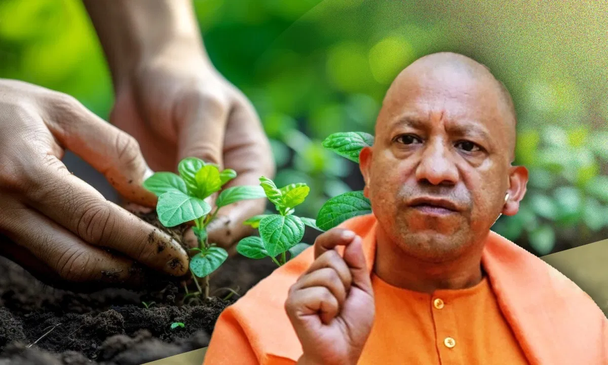 किसानों की आमदनी बढ़ाने को यूपी में शुरू हुई देश की पहली कार्बन क्रेडिट योजना