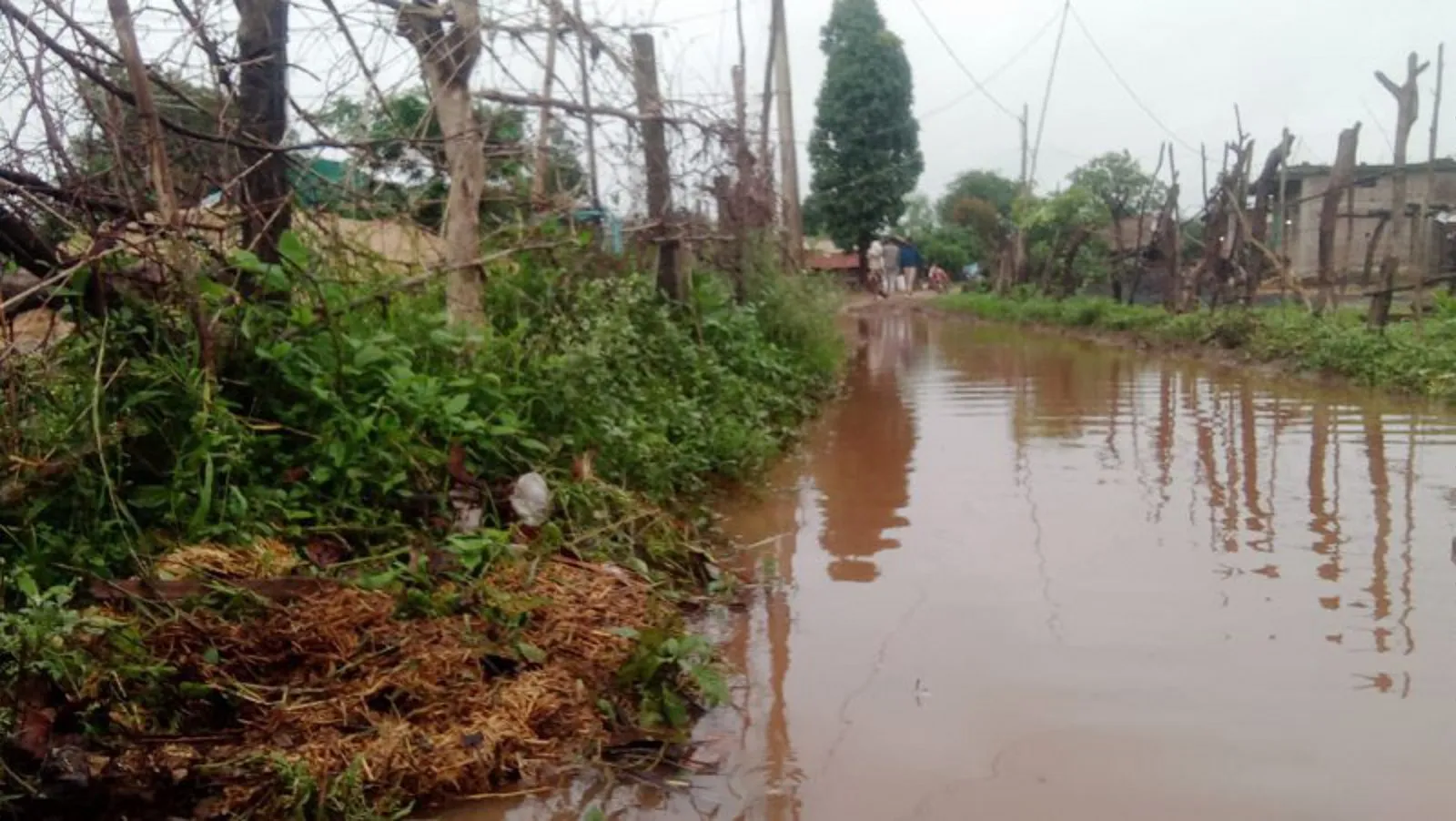 सिसौना जमालपुर में जलनिकासी का संकट, ग्रामीणों ने चुनाव बहिष्कार की दी चेतावनी