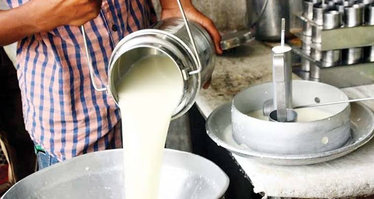 शहर की 1240 डेयरियों पर सख्ती की तैयारी, पालिका ने कसी कमर