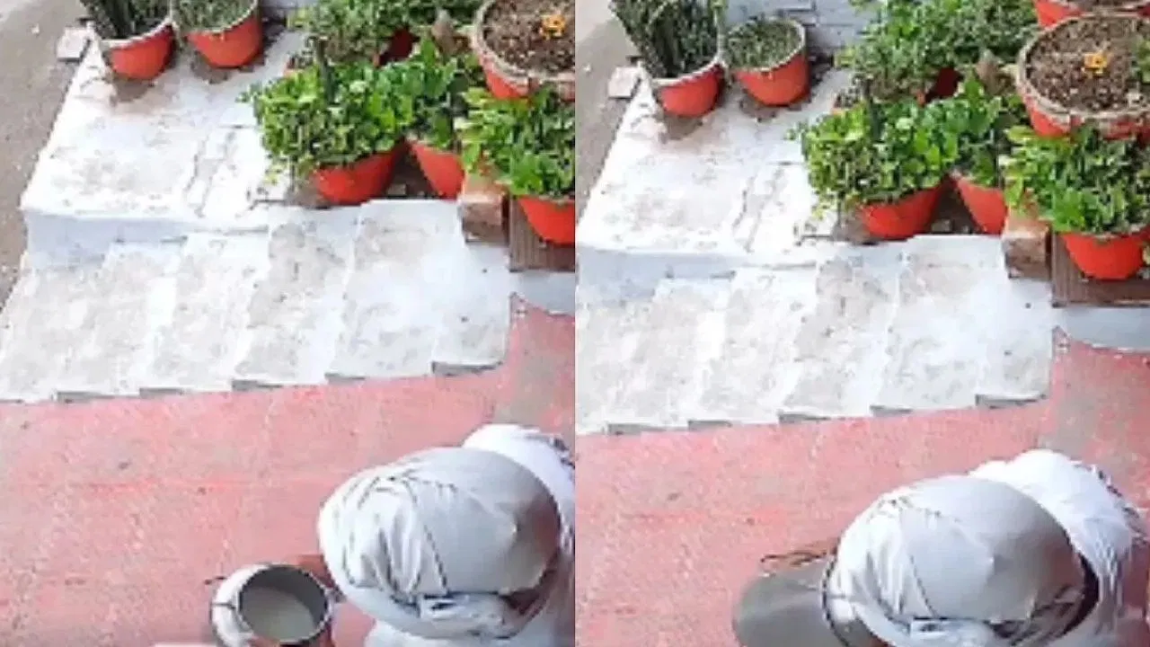 लखनऊ में ‘थूक कांड’: दूध में थूक मिलाने वाला सप्लायर गिरफ्तार