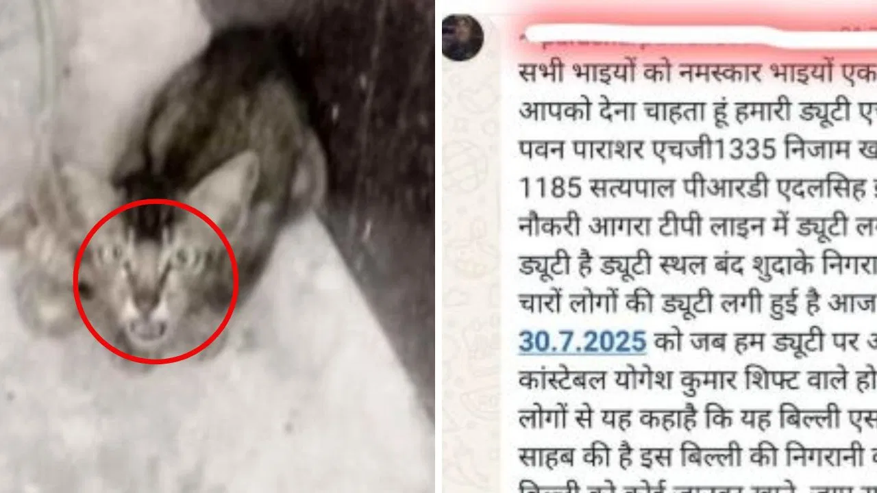 बिल्ली की रखवाली में चार होमगार्ड तैनात? पुलिस ने किया खंडन