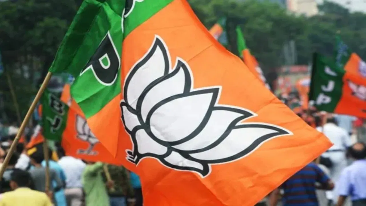बीजेपी जल्द चलाएगी 'स्वदेशी जागरण अभियान', आत्मनिर्भर भारत पर फोकस