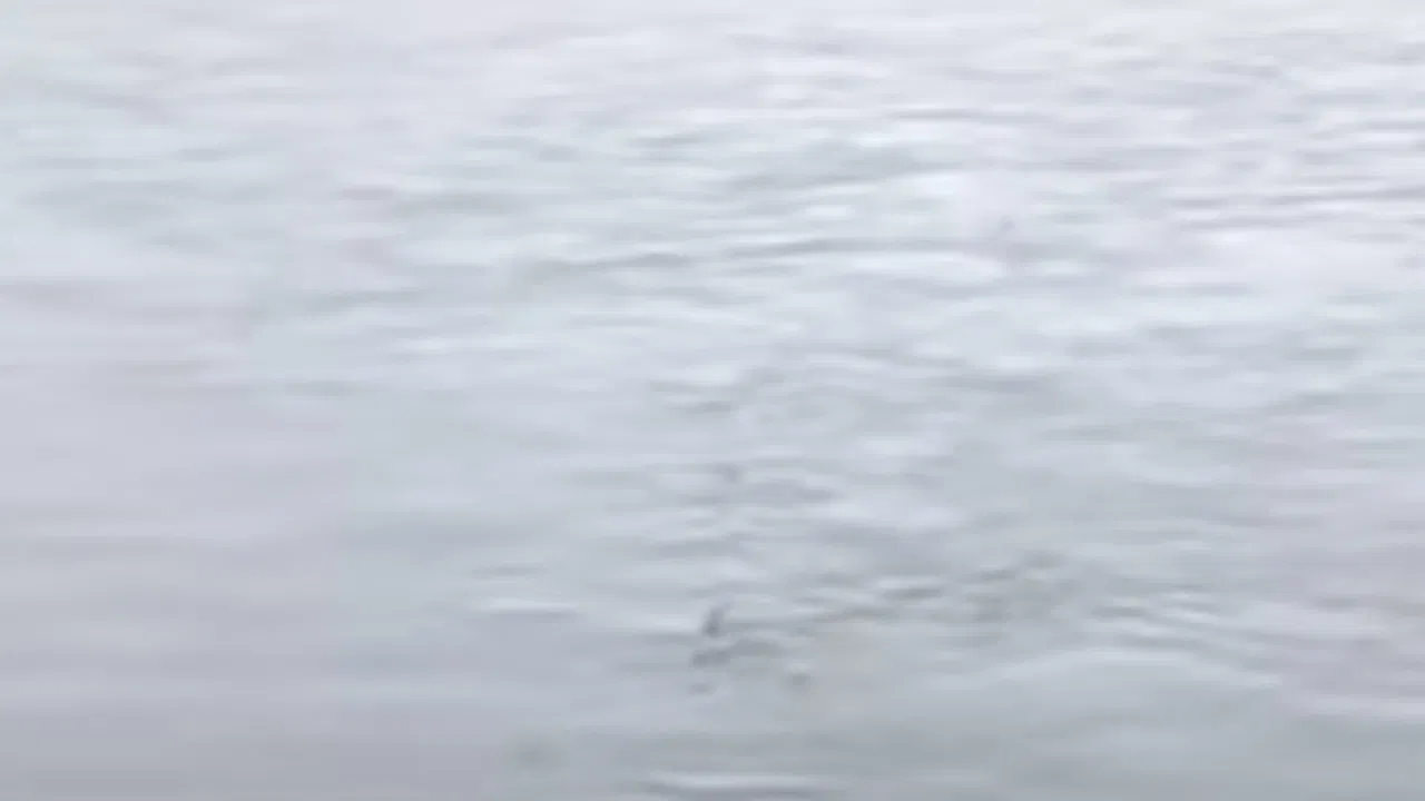 हरिद्वार में बारिश से गंगा उफान पर, हर की पौड़ी के पास भूस्खलन से मचा हड़कंप