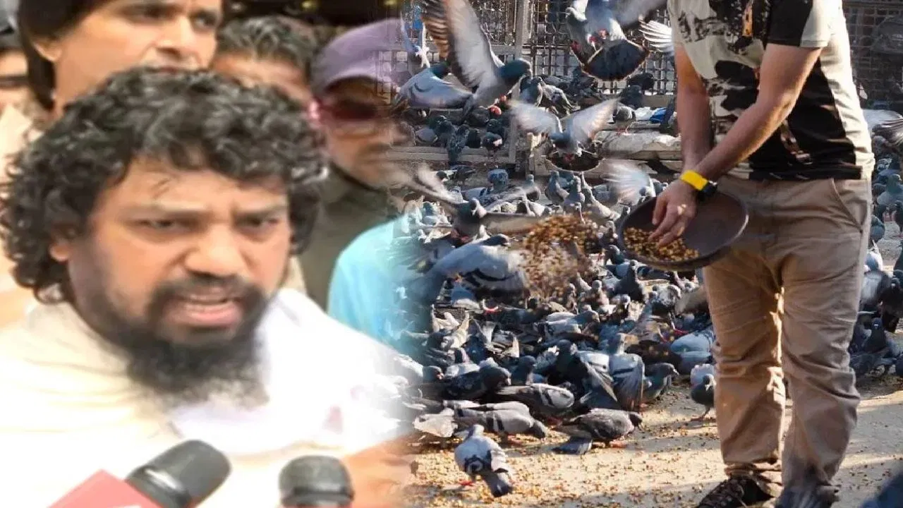 कबूतरों की रक्षा के लिए जैन मुनि ने दी हथियार उठाने की चेतावनी