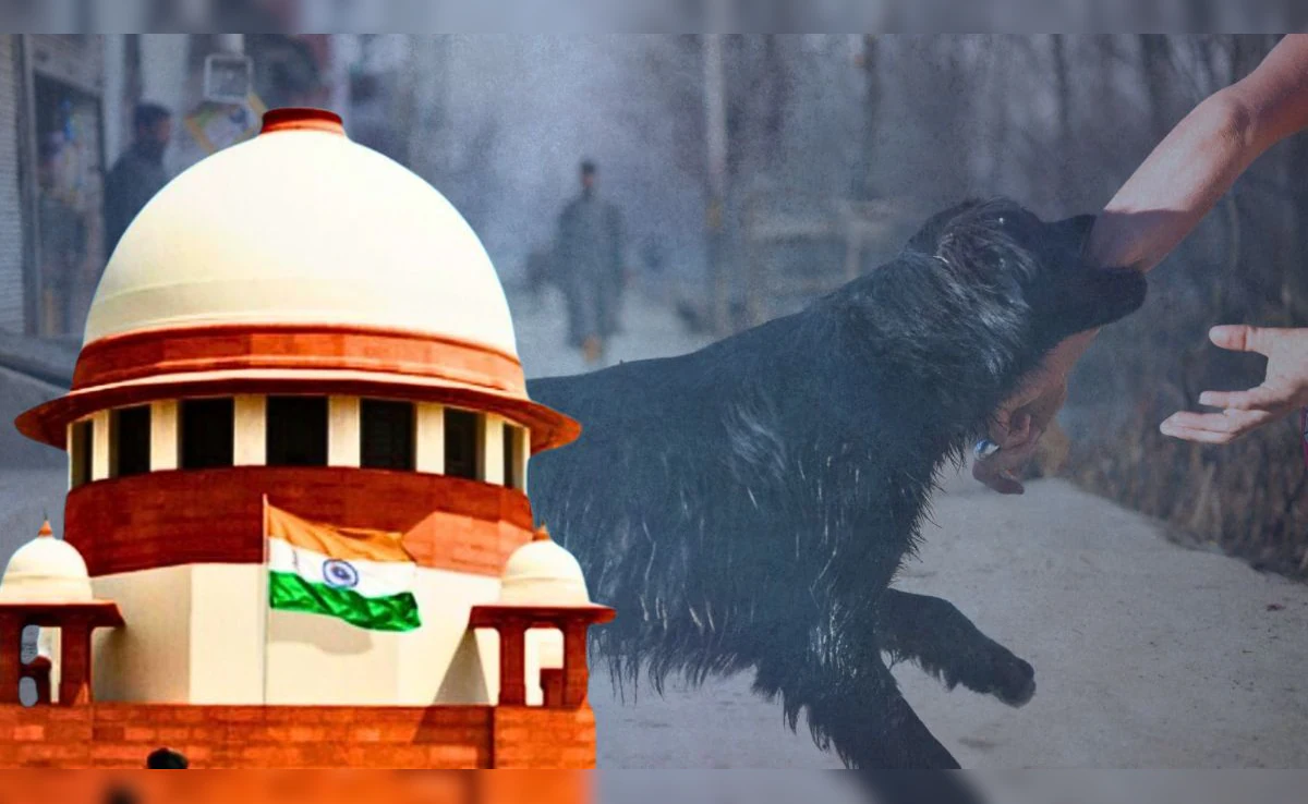 आवारा कुत्तों को पकड़ने में बाधा डालने पर 25 हजार से 2 लाख तक का जुर्माना: सुप्रीम कोर्ट