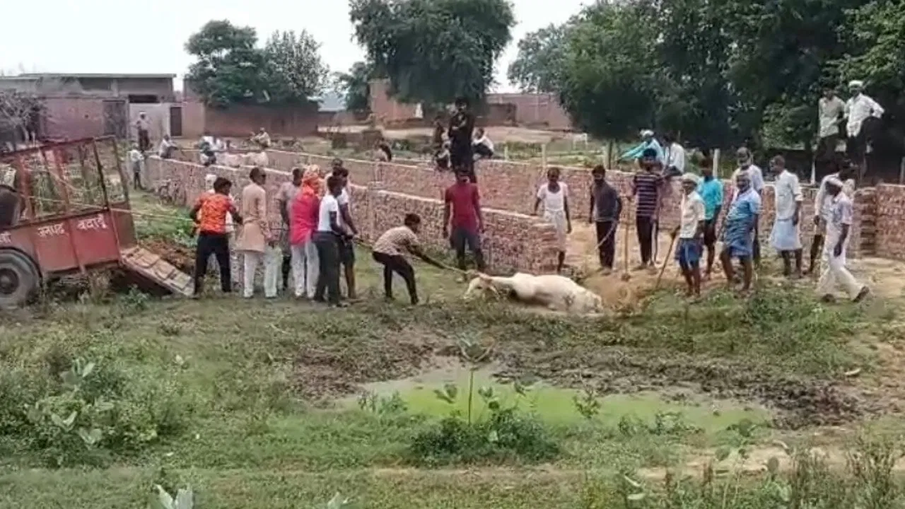 पशु क्रूरता की शिकायत पर बदायूं के थाना प्रभारी का ऑडियो हुआ वायरल