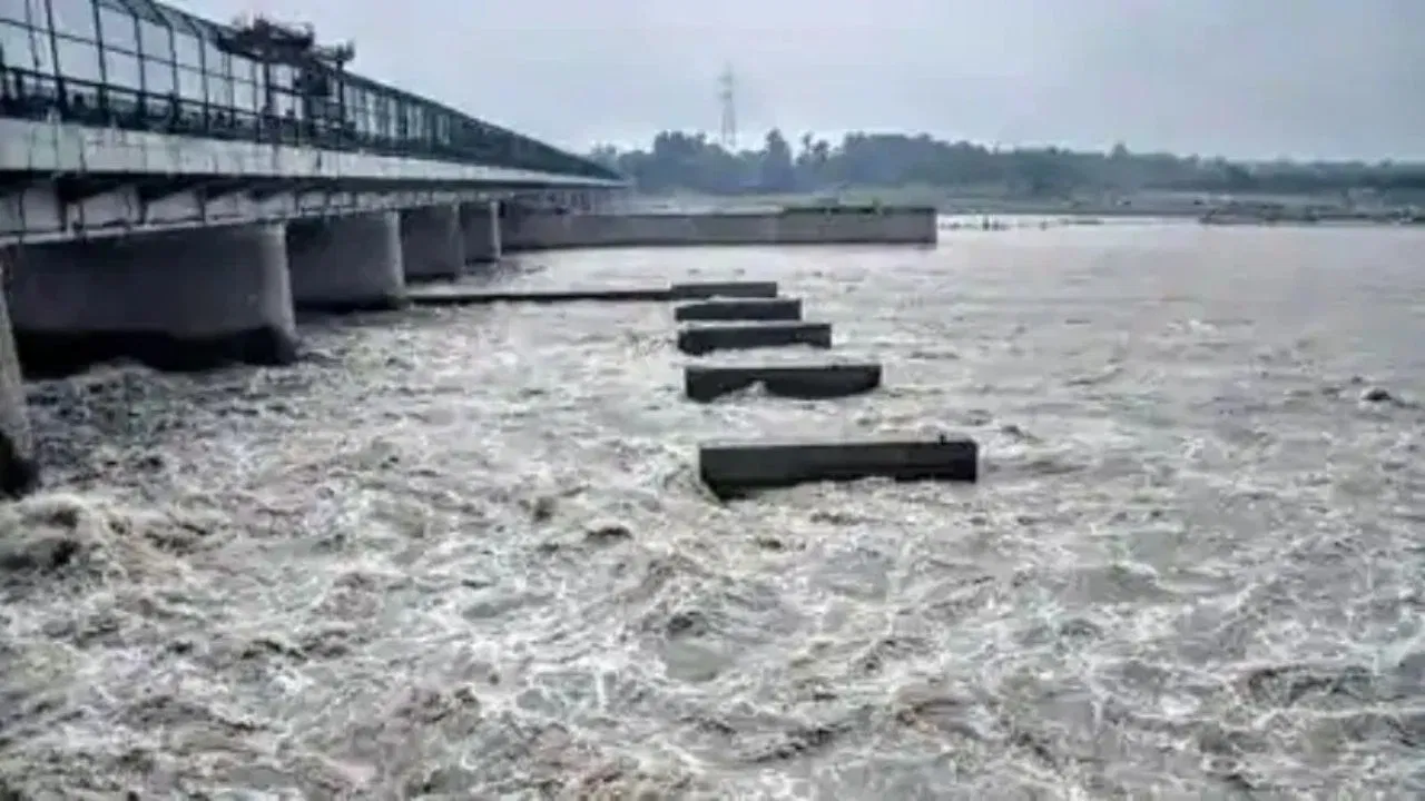 यमुना उफान पर, हथिनीकुंड के सभी गेट खुले; दिल्ली में बाढ़ का खतरा बढ़ा